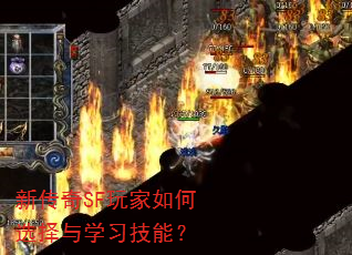 新传奇SF玩家如何选择与学习技能? 新传奇SF玩家如何选择与学习技能?