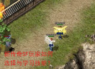 新传奇SF玩家如何选择与学习技能? 新传奇SF玩家如何选择与学习技能?
