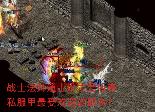 սʿ��ʦ��ʿ˭���Ǵ���˽�������ܻ�ӭ��ְҵ��