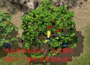 热血传奇私服中,忽视属性搭配几个增伤效果最合适? 热血传奇私服中,忽视属性搭配几个增伤效果最合适?