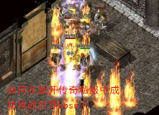 ������¿�����˽���гɹ���ս����boss��