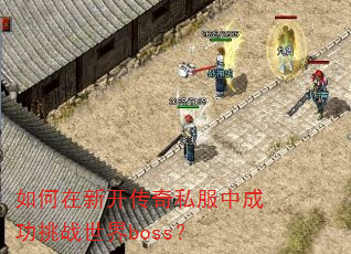 ������¿�����˽���гɹ���ս����boss��