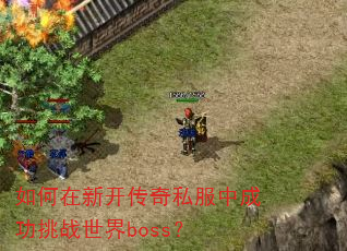 ������¿�����˽���гɹ���ս����boss��