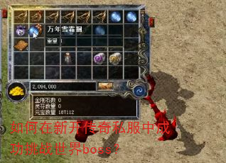 ������¿�����˽���гɹ���ս����boss��