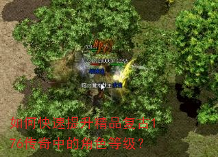 如何快速提升精品复古176传奇中的角色等级? 如何快速提升精品复古176传奇中的角色等级?