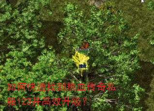 如何快速找到热血传奇私服123并高效升级? 如何快速找到热血传奇私服123并高效升级?