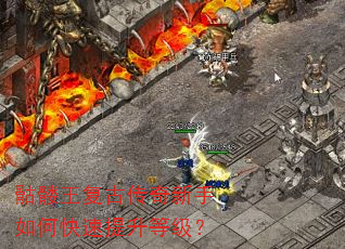 骷髅王复古传奇新手如何快速提升等级? 骷髅王复古传奇新手如何快速提升等级?