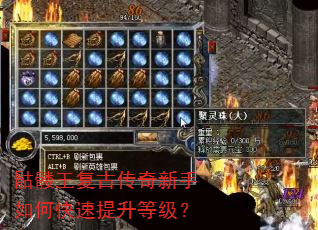 骷髅王复古传奇新手如何快速提升等级? 骷髅王复古传奇新手如何快速提升等级?