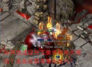 如何快速提升玉兔传奇角色等级?装备获取有哪些技巧? 如何快速提升玉兔传奇角色等级?装备获取有哪些技巧?