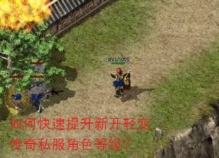 如何快速提升新开轻变传奇私服角色等级? 如何快速提升新开轻变传奇私服角色等级?