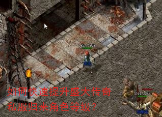 如何快速提升盛大传奇私服归来角色等级? 如何快速提升盛大传奇私服归来角色等级?