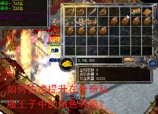 如何快速提升在传奇私服王子中的角色等级? 如何快速提升在传奇私服王子中的角色等级?