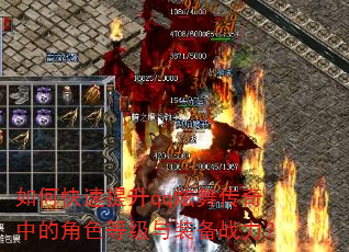 ��ο�������qq���贫���еĽ�ɫ�ȼ���װ��ս����