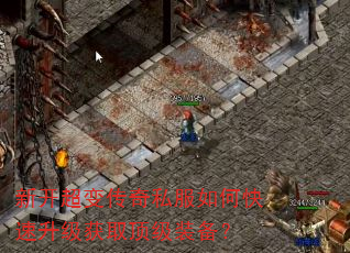 �¿����䴫��˽����ο���������ȡ����װ����