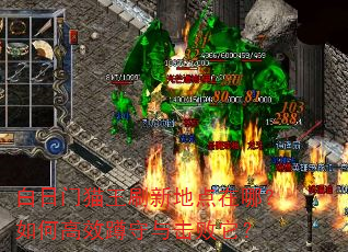 白日门猫王刷新地点在哪?如何高效蹲守与击败它? 白日门猫王刷新地点在哪?如何高效蹲守与击败它?