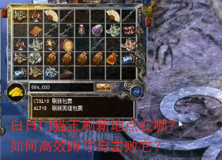 白日门猫王刷新地点在哪?如何高效蹲守与击败它? 白日门猫王刷新地点在哪?如何高效蹲守与击败它?
