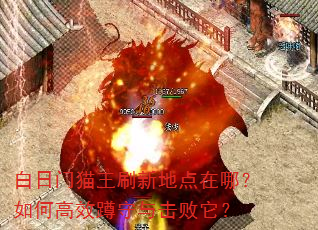 白日门猫王刷新地点在哪?如何高效蹲守与击败它? 白日门猫王刷新地点在哪?如何高效蹲守与击败它?