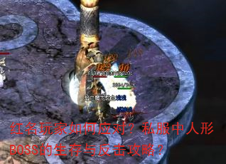 ����������Ӧ�ԣ�˽��������BOSS�������뷴�����ԣ�