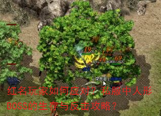 ����������Ӧ�ԣ�˽��������BOSS�������뷴�����ԣ�