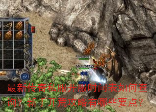 最新传奇私服开服时间表如何查询?新手开荒攻略有哪些要点? 最新传奇私服开服时间表如何查询?新手开荒攻略有哪些要点?