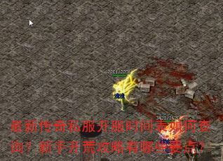 最新传奇私服开服时间表如何查询?新手开荒攻略有哪些要点? 最新传奇私服开服时间表如何查询?新手开荒攻略有哪些要点?