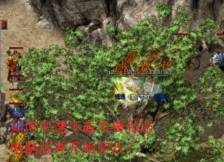 ��ο������ش���˽�����԰沢��ʼ��Ϸ��