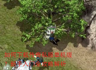 ������ش���˽�������棿��������ȫ���Խ���