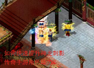 如何快速提升神龙刺影传奇手游角色战力? 如何快速提升神龙刺影传奇手游角色战力?