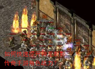 如何快速提升神龙刺影传奇手游角色战力? 如何快速提升神龙刺影传奇手游角色战力?