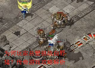 为何玩家总爱挑战白野猪?传奇游戏攻略解析 为何玩家总爱挑战白野猪?传奇游戏攻略解析
