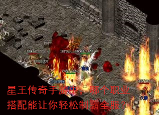 星王传奇手游中,哪个职业搭配能让你轻松制霸全服? 星王传奇手游中,哪个职业搭配能让你轻松制霸全服?