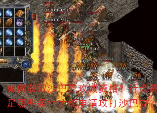 ��λ�ȡɳ�Ϳ˹����ʸ��л���������Щ�����������빥��ɳ�Ϳˣ�