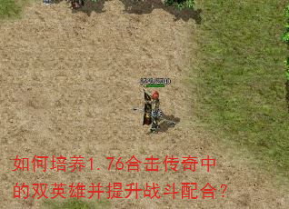 如何培养1.76合击传奇中的双英雄并提升战斗配合? 如何培养1.76合击传奇中的双英雄并提升战斗配合?