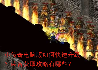 С������԰���ο���������װ����ȡ��������Щ��