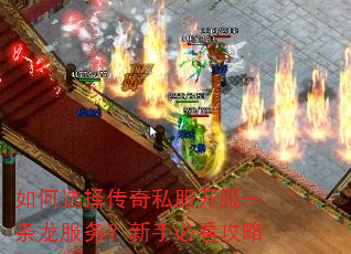 ���ѡ����˽������һ�����������ֱؿ�����