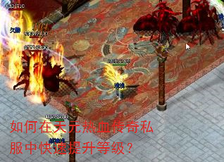 如何在天元热血传奇私服中快速提升等级? 如何在天元热血传奇私服中快速提升等级?