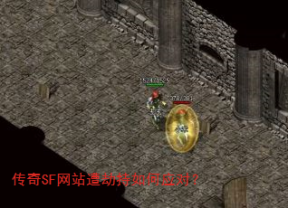 ����SF��վ��ٳ����Ӧ�ԣ�