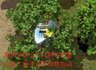 如何快速上手飞翔传奇复古版?新手必看攻略指南 如何快速上手飞翔传奇复古版?新手必看攻略指南
