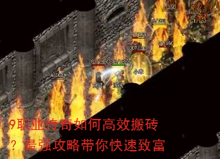 9ְҵ������θ�Ч��ש����ǿ���Դ�������¸�