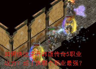 ��ο����������洫��5ְҵս��������ѡ�ĸ�ְҵ��ǿ��