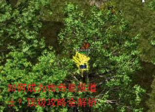 如何成为传奇最强道士?顶级攻略全解析 如何成为传奇最强道士?顶级攻略全解析