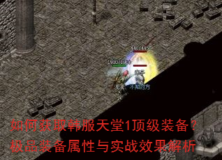 ��λ�ȡ��������1����װ������Ʒװ��������ʵսЧ������