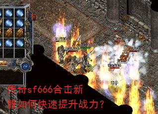 ����sf666�ϻ��·���ο�������ս����