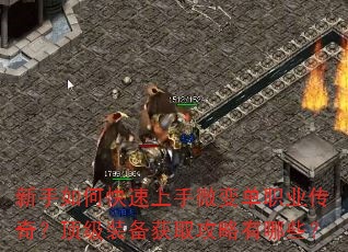 ������ο�������΢�䵥ְҵ���棿����װ����ȡ��������Щ��